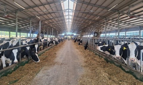 Туркменские специалисты ознакомились с работой системы NAITS в Грузии