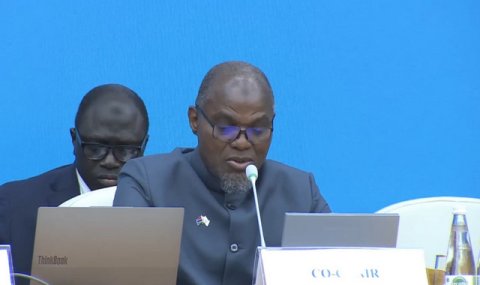 Круглый стол на LLDC-3: Вице-президент Гамбии выступил за устранение торговых преград