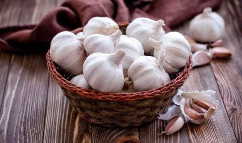 Земледельцы Дашогузского велаята расширили посевы озимого чеснока