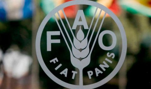 Международная конференция по питанию и здоровью пройдет в Ашхабаде