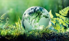 Молодёжь Туркменистана представит проекты для экологии Аральского региона