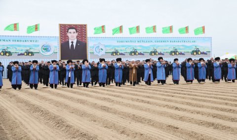 В Туркменистане стартовал сев хлопчатника