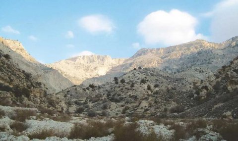 Туркменистан укрепляет охрану природных территорий