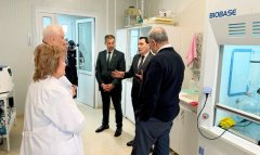 Туркменистан и Грузия обсудили сотрудничество в сфере здравоохранения