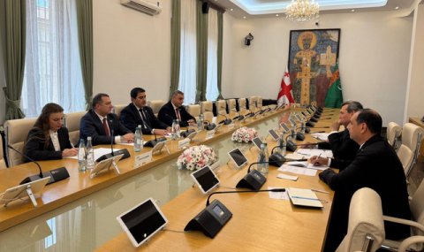 Рашид Мередов встретился с Председателем Парламента Грузии