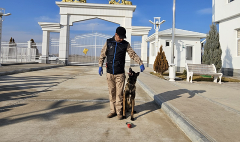 В Туркменистане прошёл курс подготовки инструкторов-кинологов для пограничной службы
