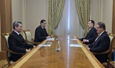 Перспективы сотрудничества Туркменистана и ФСЭГ в газовой сфере
