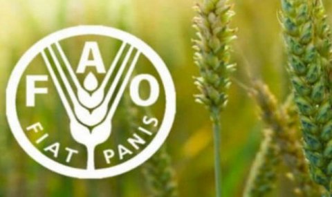 Передовые практики в управлении землепользованием