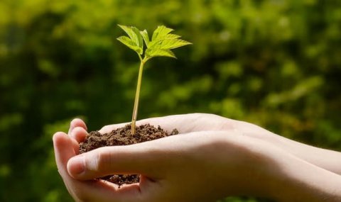 Экологи Туркменистана обсудили развитие науки и природоохранных программ