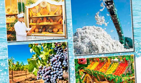 Президент Туркменистана поручил обеспечить своевременные расчёты с аграриями