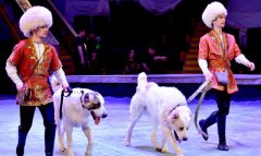 Государственный цирк Туркменистана встречает Новруз праздничным шоу