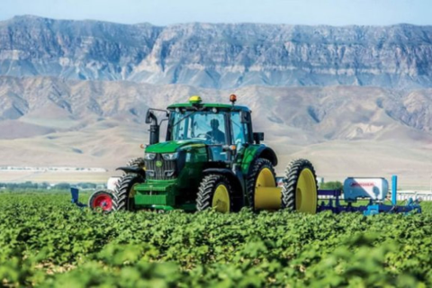 В Туркменистане отмечен рост объемов сельскохозяйственного производства
