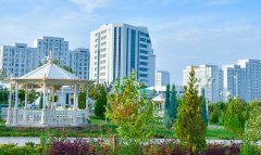 В Туркменистане стартовала финальная стадия Аральской и Лесной программ