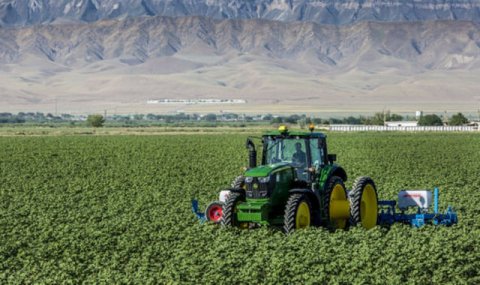 В регионах Туркменистана ведётся работа по подготовке семян и полей