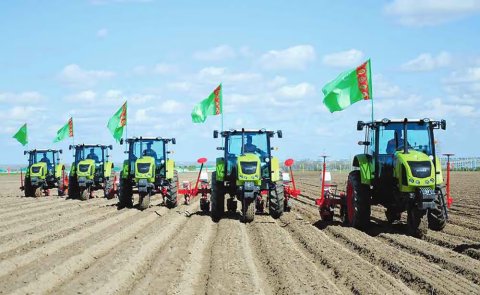 Хлопкоробы Ахалского велаята готовят поля к весеннему севу хлопчатника