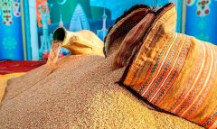 Туркменабатское предприятие хлебопродуктов нарастило производство муки