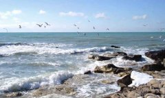 В Туркменистане внедряют экологически чистые технологии в промышленности