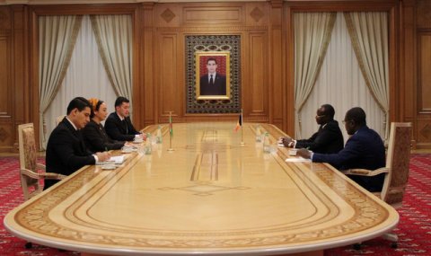 Председатель Меджлиса приняла верительные грамоты Посла Республики Чад