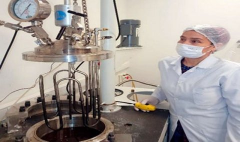 В Туркменистане создали биоматериал для борьбы с опустыниванием