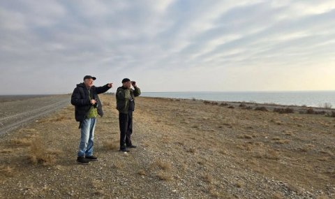 В Туркменистане проходят зимние учёты водно-болотных птиц