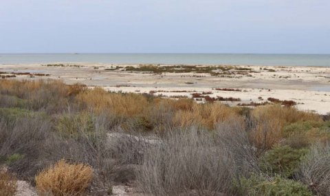 Ученые Туркменистана работают над исследованием новых прибрежных земель Каспия