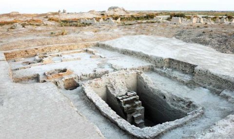 В заповеднике «Абиверд» в Туркменистане стартовал осенний сезон работ