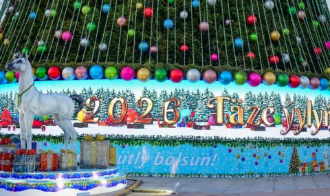 Завершение 2025 года и планы на будущее в Туркменистане