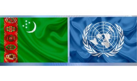 Министерство образования Туркменистана обсуждает развитие раннего обучения