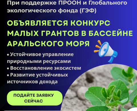 ПРООН принимает заявки на конкурс малых грантов в Туркменистане