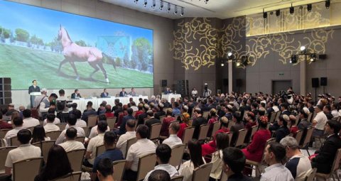 Туркменистан участвовал в международном форуме по ахалтекинским скакунам
