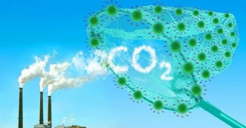 В Туркменистане рассматривают возможности применения углекислого газа