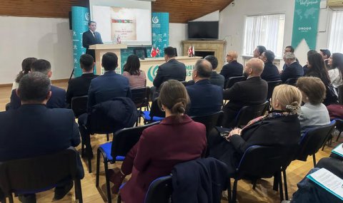 Посол Туркменистана участвовал в мероприятии по тюркским языкам