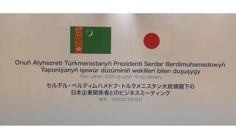 Туркменистан укрепляет партнерство с японскими компаниями