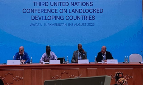 Аваза стала площадкой для реализации стратегических инициатив стран Сахеля