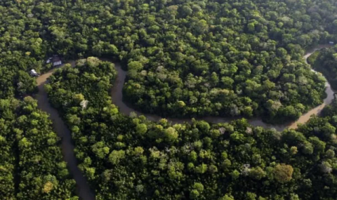На конференции ООН по биоразнообразию COP16 согласован план финансирования охраны природы