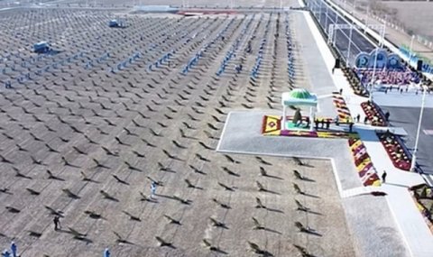 В городе Аркадаг начался осенний этап массового озеленения