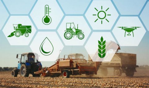 Сельское хозяйство Туркменистана показывает рост производства