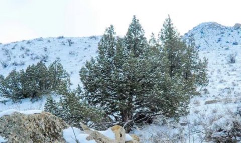 В Туркменистане по народному календарю стартовал «малый сороковник»