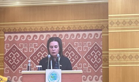 В Авазе на конференции о роли женщин в обществе выступила представитель РФ