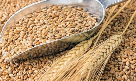 Земледелец из Геоктепинского этрапа награждён за высокие урожаи