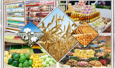 Развитие семеноводства и государственной поддержки аграриев в Туркменистане