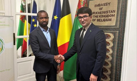 Туркменистан и Brussels Africa Hub рассмотрели перспективы партнерства
