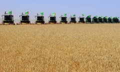В Марыйском велаяте усиливается темп жатвы и сезонных аграрных работ