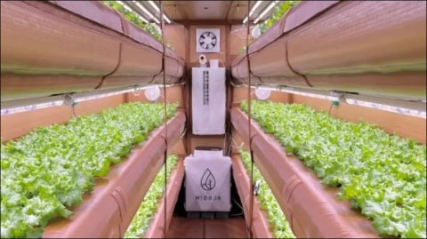 Первая в мире надувная ферма: инновация от AirFarm на CES 2025