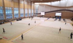 Гимнастки из Италии и Боснии тренируются совместно с российской командой