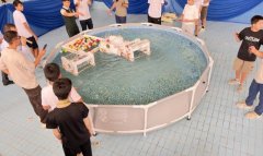 В Туркменистане состоялись соревнования по робототехнике