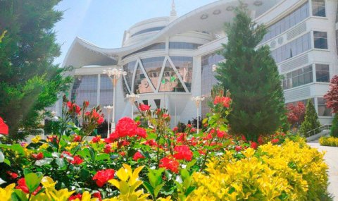 Туркменские ученые разработали фитоминеральный лечебный гель