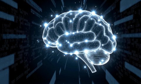 Учёные научили ИИ учиться самостоятельно