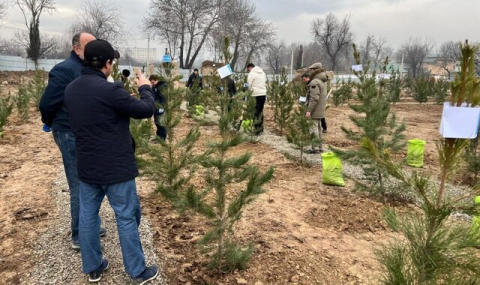 Посольство Туркменистана приняло участие в озеленении Душанбе