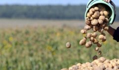 В Лебапском велаяте Туркменистана нарастили выпуск продовольствия